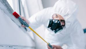 Real Estate Pest Inspections in Del Rio, CA